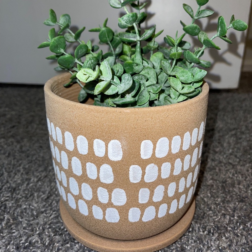 VASE + PLANT